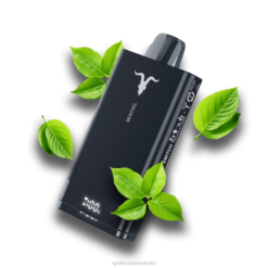 RP6R72 IGNITE V150 Vape Pen Ignite Australia - Menthol